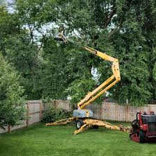 Best Commercial Tree Services  in New Brockton, AL