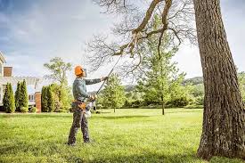 Best Utility Line Clearance  in New Brockton, AL